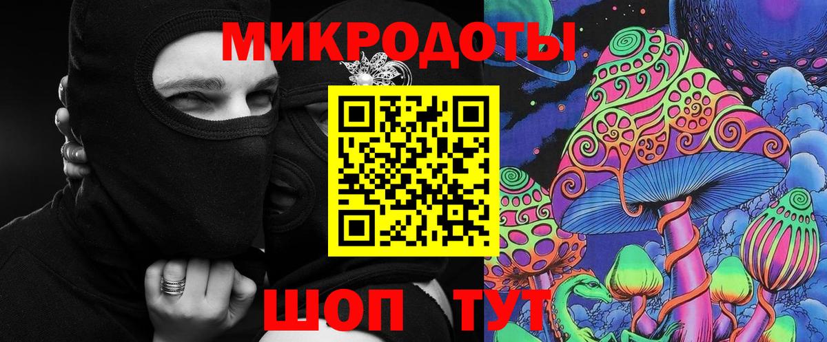 Галлюциногенные грибы Psilocybe Лиски